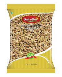 SpiceBee-www.spicebee.in